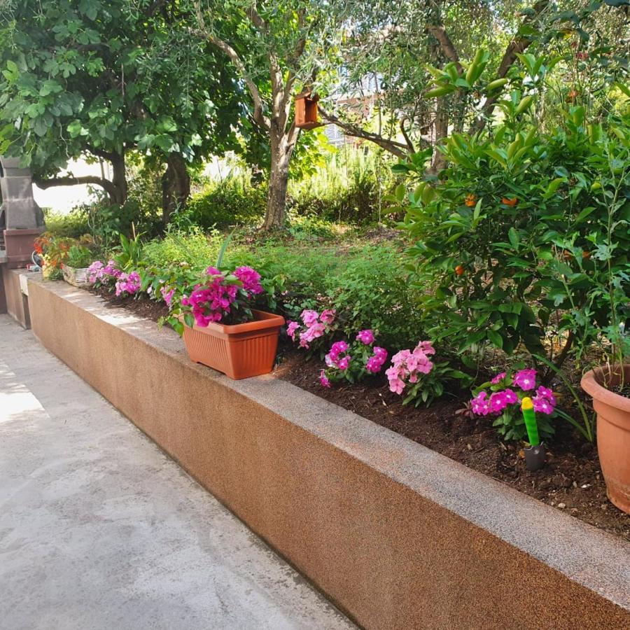 Apartma Lana21 Apartamento Koper Exterior foto